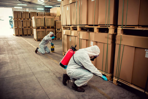 Reliable Hudson, NC Pest Control Solutions