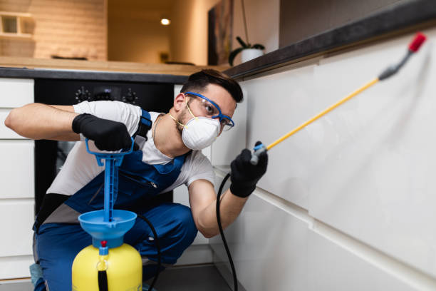 Best Pest Prevention Services  in Hudson, NC