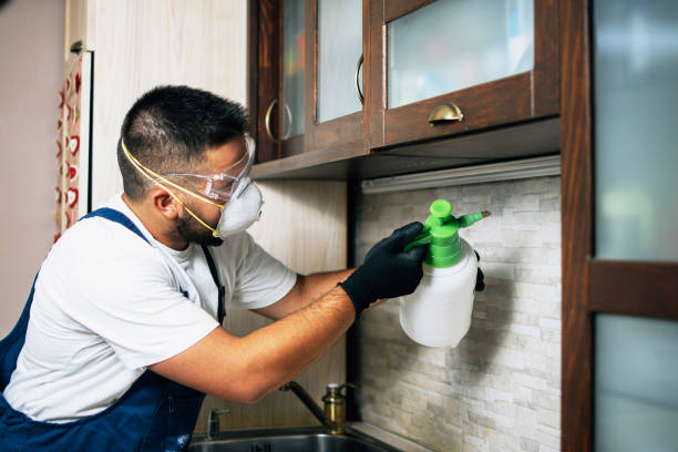Best Termite Control Services  in Hudson, NC