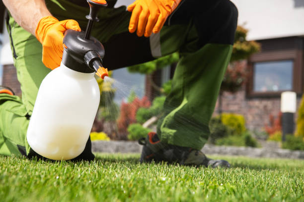 Best Ant Control Services  in Hudson, NC