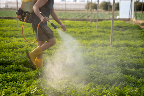 Best Residential Pest Control  in Hudson, NC