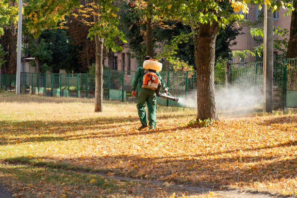 Best Flea Control Services  in Hudson, NC