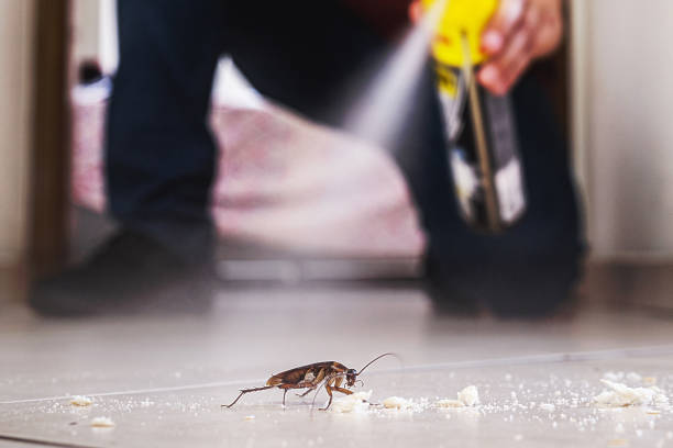 Best Bed Bug Extermination  in Hudson, NC