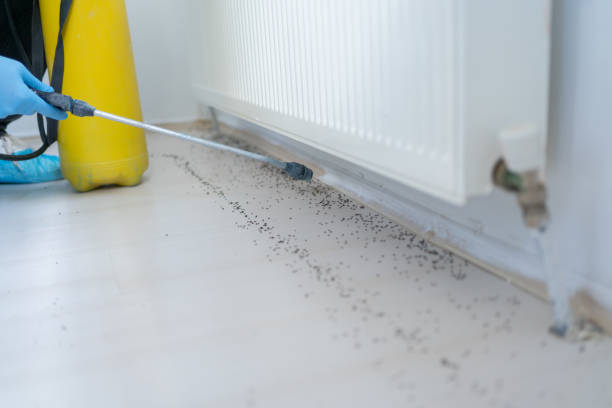 Best Insect Control  in Hudson, NC